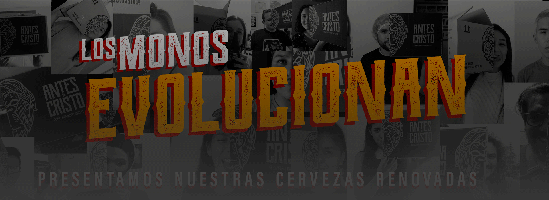 imagen carrusel